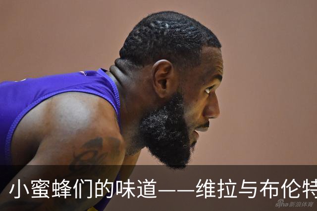 小蜜蜂们的味道——维拉与布伦特福德的精彩对决！